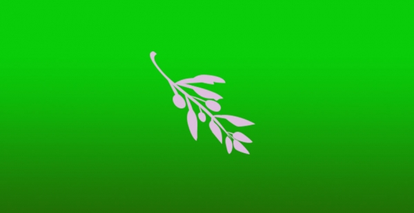 Multi platformová střižna zdarma: Olive video editor