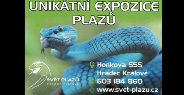 Tip na v&yacute;let: Svět plazů - Hradec Kr&aacute;lov&eacute;-Kukleny