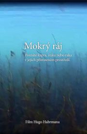 Mokrý ráj